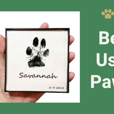 Benefits and Usage of The Paw Print Pad