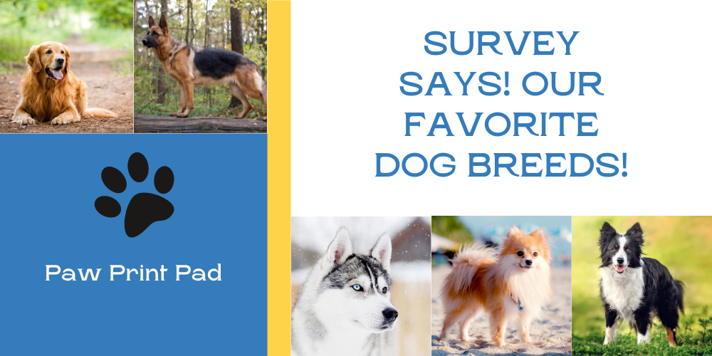 Survey Says! Here Are Our Colleagues Favorite Dog Breeds!