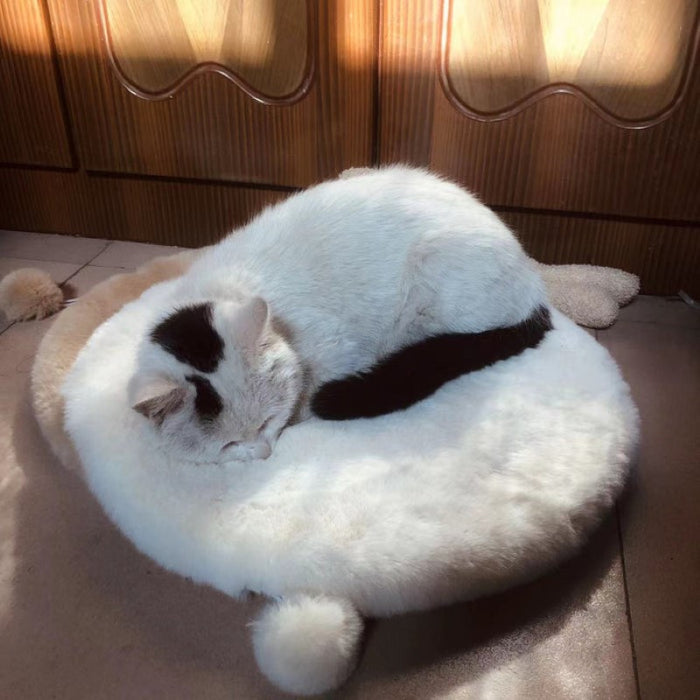 Comfy Round Cat Mat