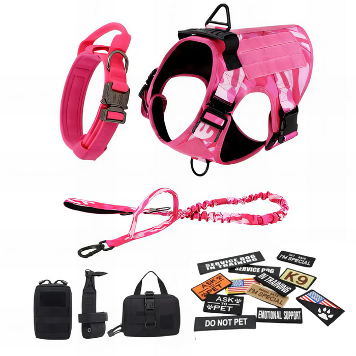 Trendy Dog Harness with Accessories