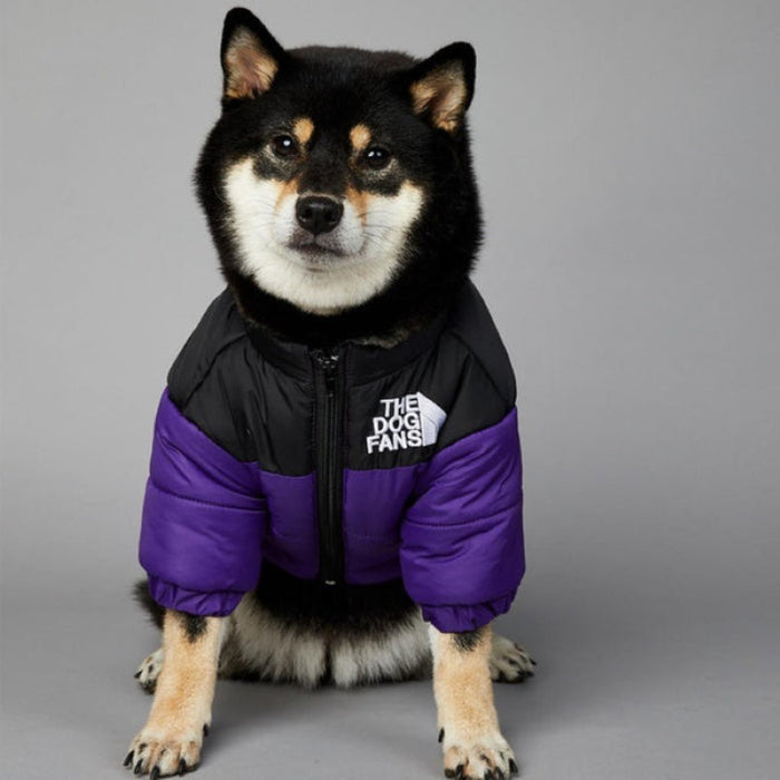 Designer Dog Coat For Winter And Autumn