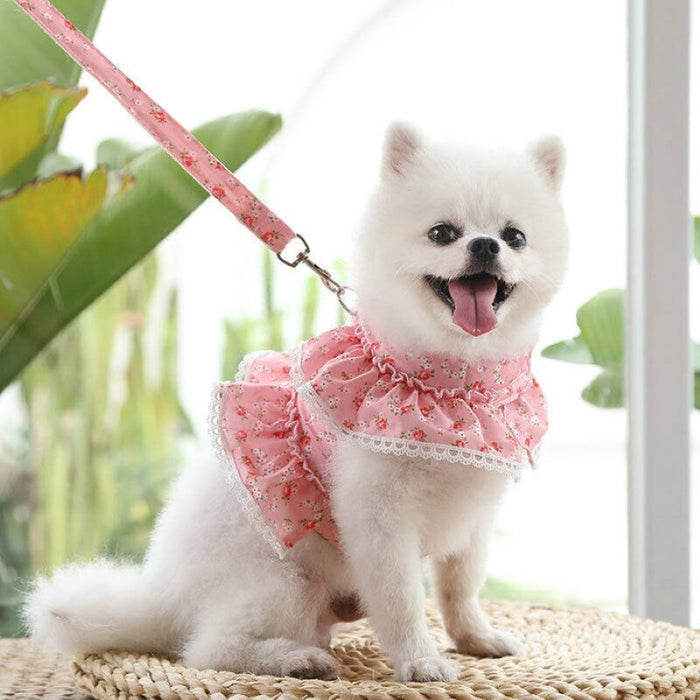 Floral Dog Dress With Lace Trim And Matching Leash