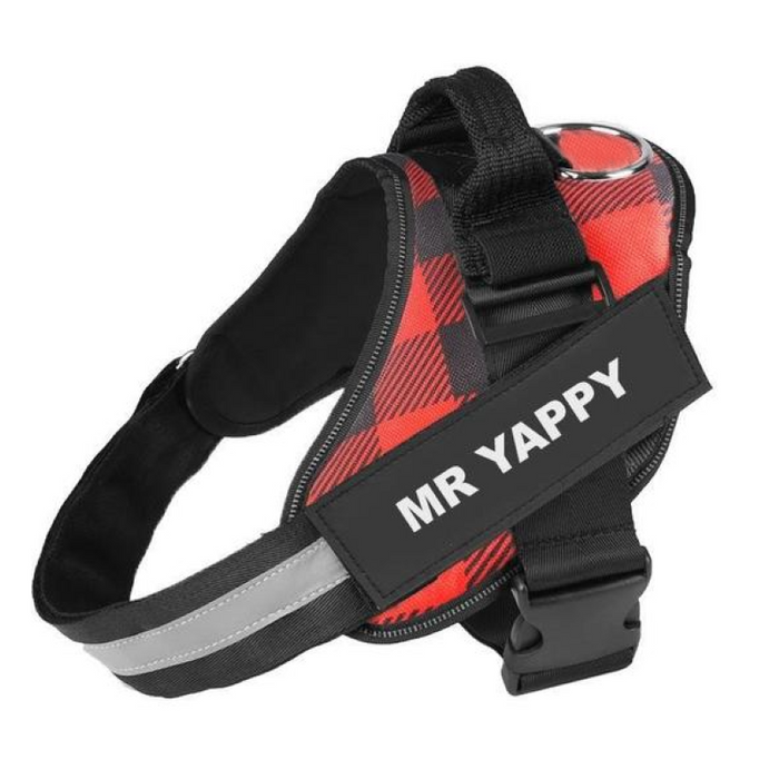Custom No Pull Dog Harness with Name and Phone Number, Heavy Duty Personalized Pet Vest (Copy)