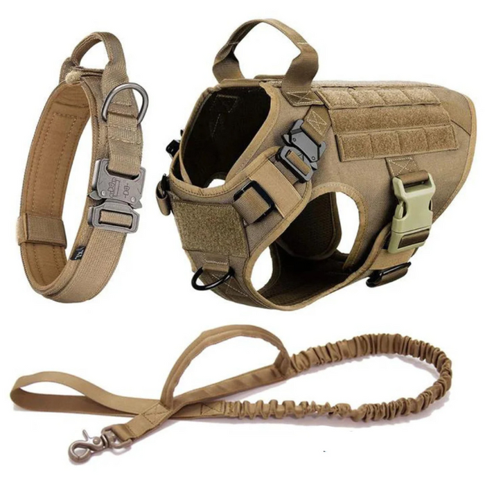 Dog Harness With D Ring Attachments