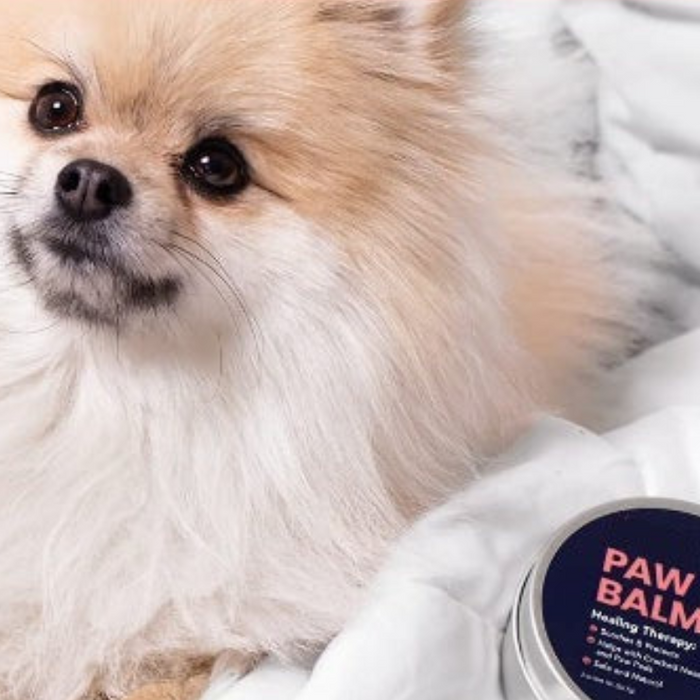 Paw Balm Pad Protector For Dogs Dog Paw Balm Soother Heals