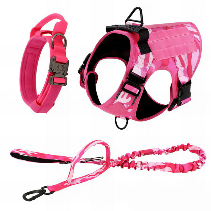 Trendy Dog Harness with Accessories