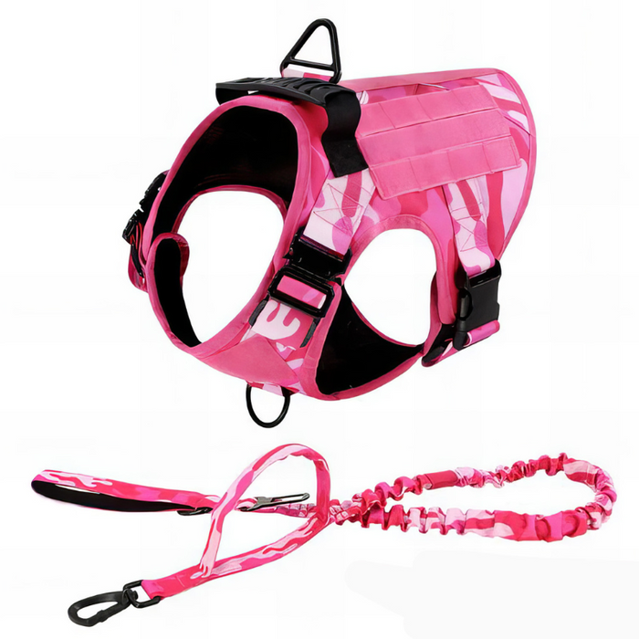 Trendy Dog Harness with Accessories