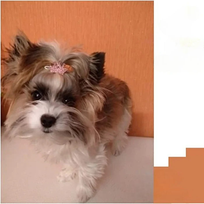 Dog Hair Bows Accessories for Chihuahua Yorkie Shih Tzu Dog