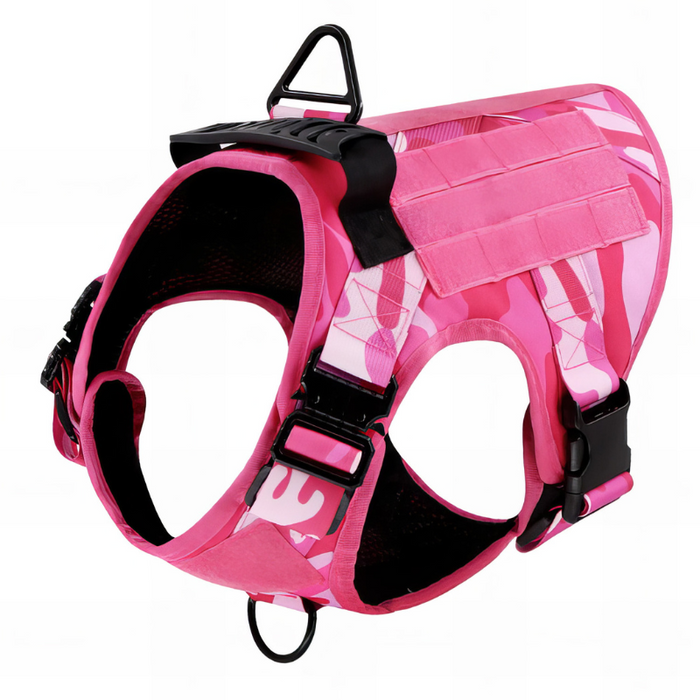 Trendy Dog Harness with Accessories