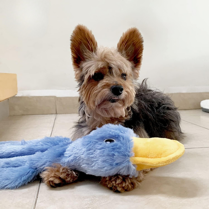 Pack Of 3 Crinkle Duck Plush Dog Toys