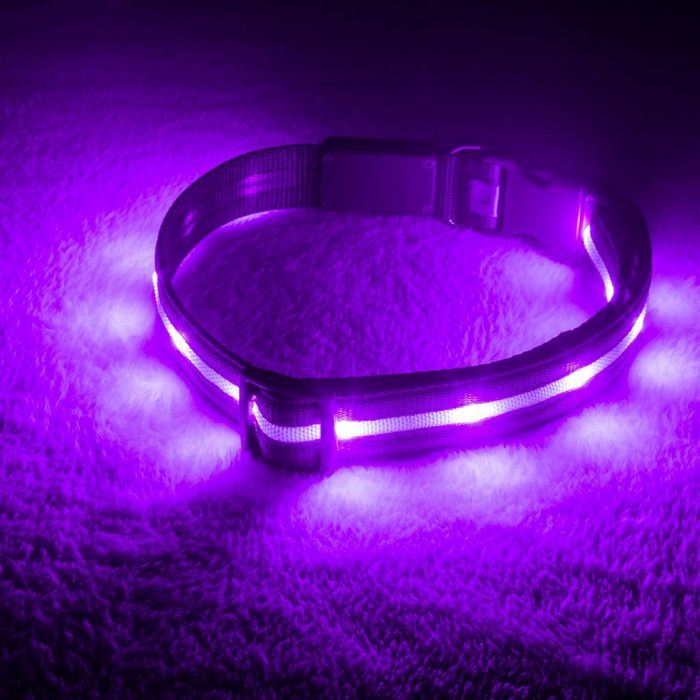 LED Dog Leash With Adjustable Strap Design