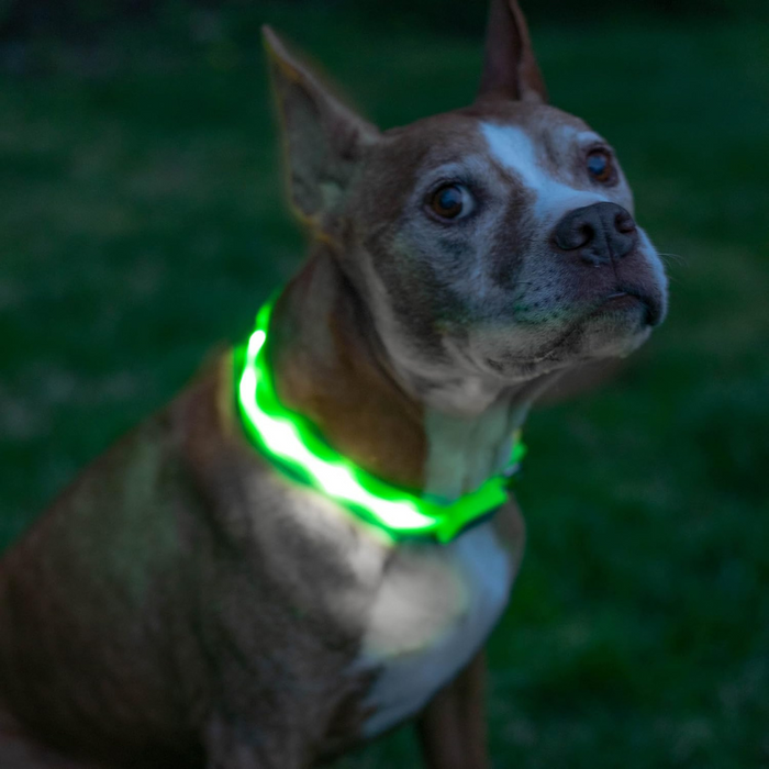 Adjustable Strap Design Dog Leash With Led Lighting — Paw Print Pad