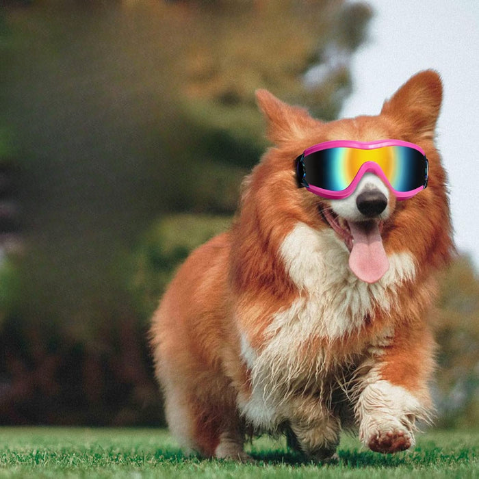 Adjustable Pet Sunglasses Goggles For Dogs