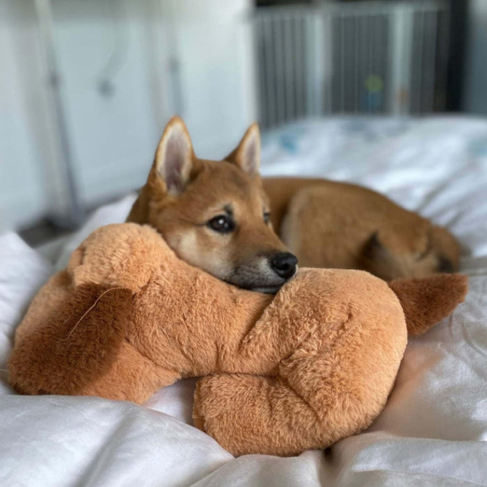 Soft Plush Toy For Puppies