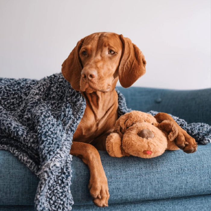 Soft Plush Toy For Puppies