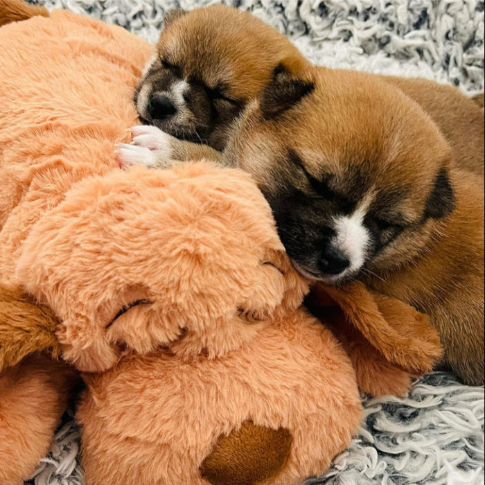 Soft Plush Toy For Puppies