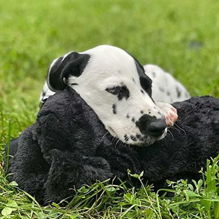 Soft Plush Toy For Puppies