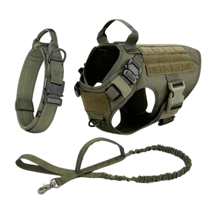 Dog Harness With Front And Back D-Ring Attachments