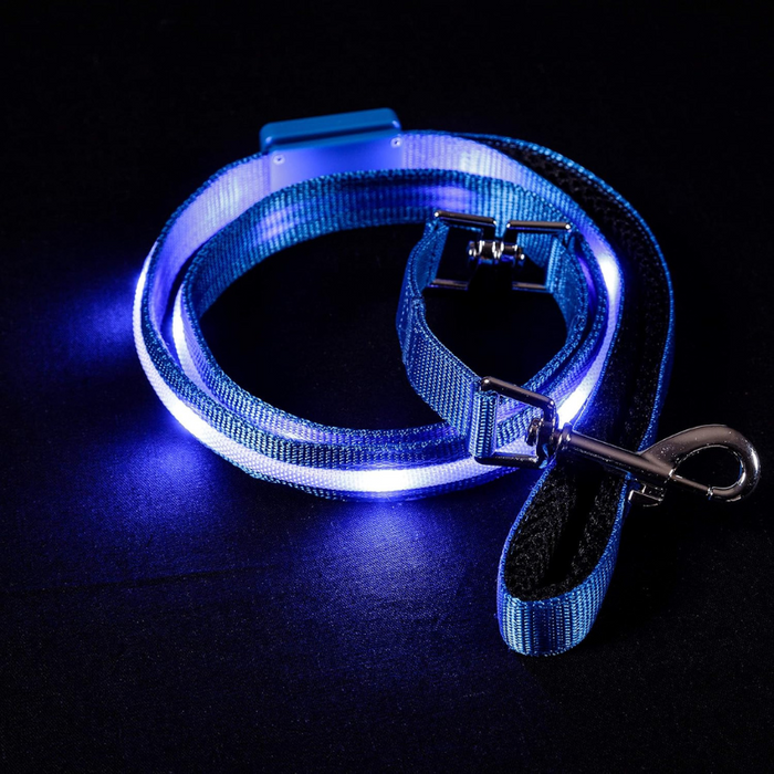 USB Rechargeable Light Up Pet Leash