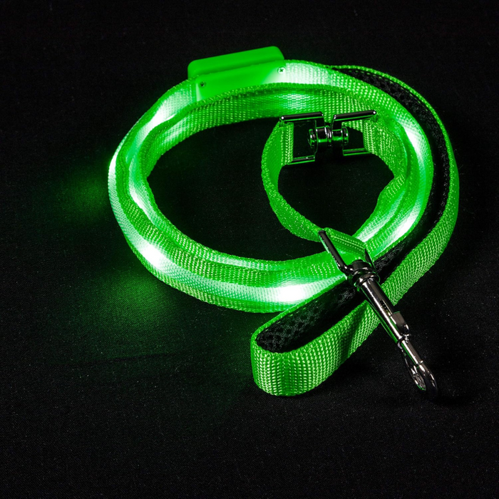 USB Rechargeable Light Up Pet Leash