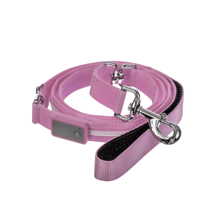 USB Rechargeable Light Up Pet Leash