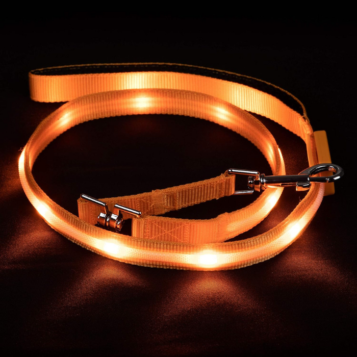 USB Rechargeable Light Up Pet Leash