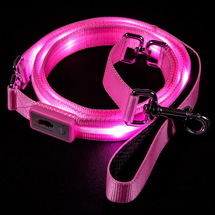 USB Rechargeable Light Up Pet Leash