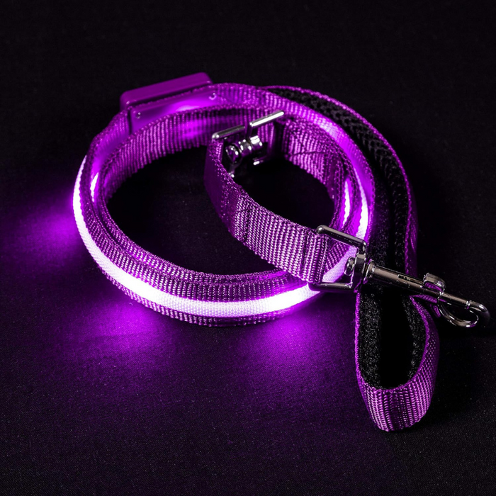 USB Rechargeable Light Up Pet Leash