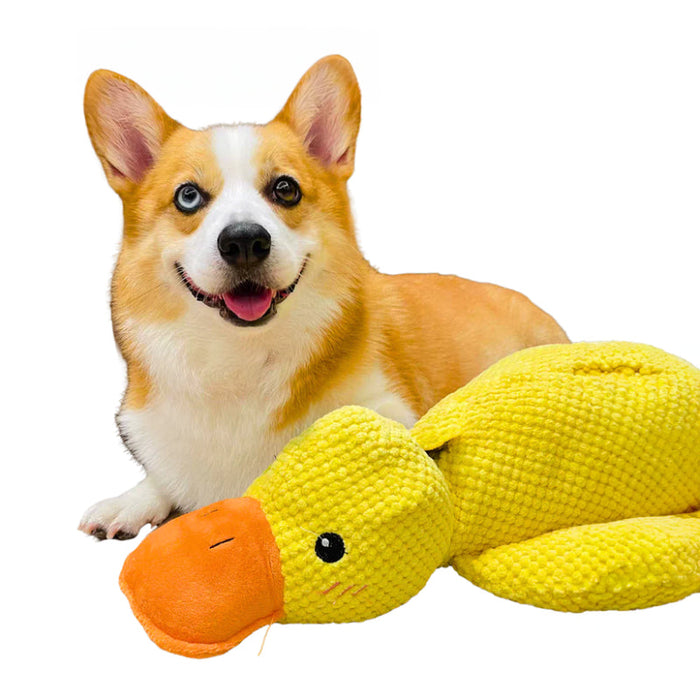 Multi Purpose Duck Chew Toy