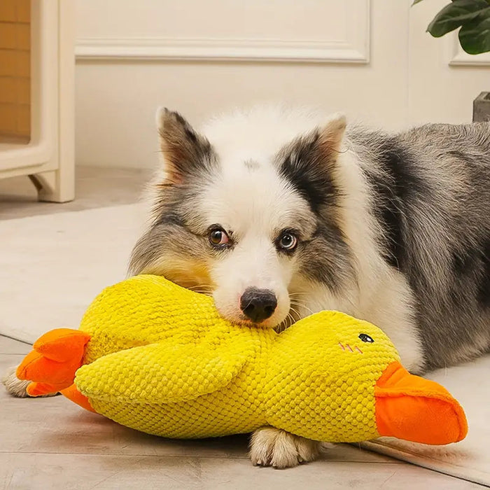 Multi Purpose Duck Chew Toy