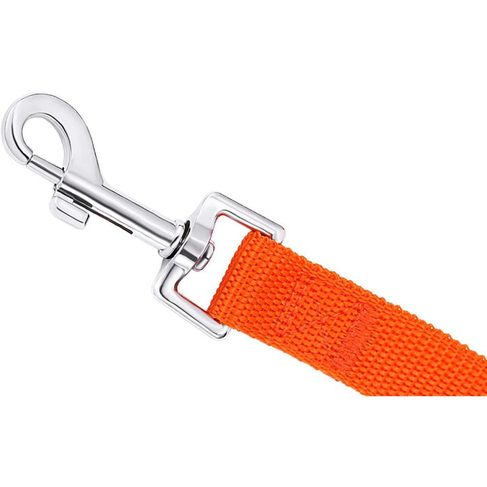 Durable Training Leash for Dogs
