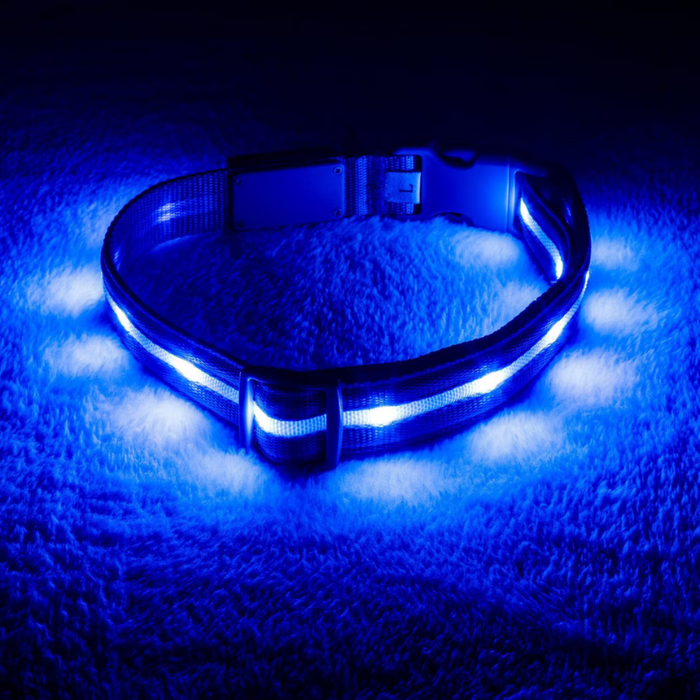 LED Dog Leash For Training