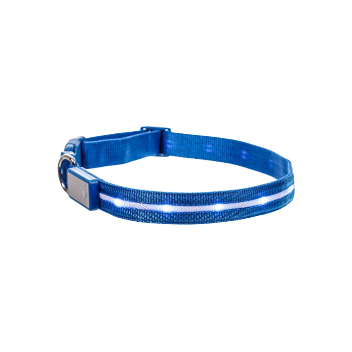 LED Dog Leash For Training