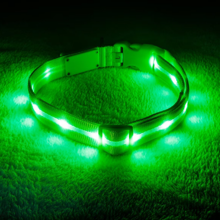 LED Dog Leash For Training