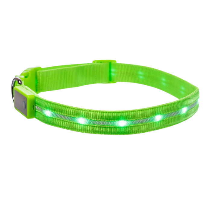 LED Dog Leash For Training