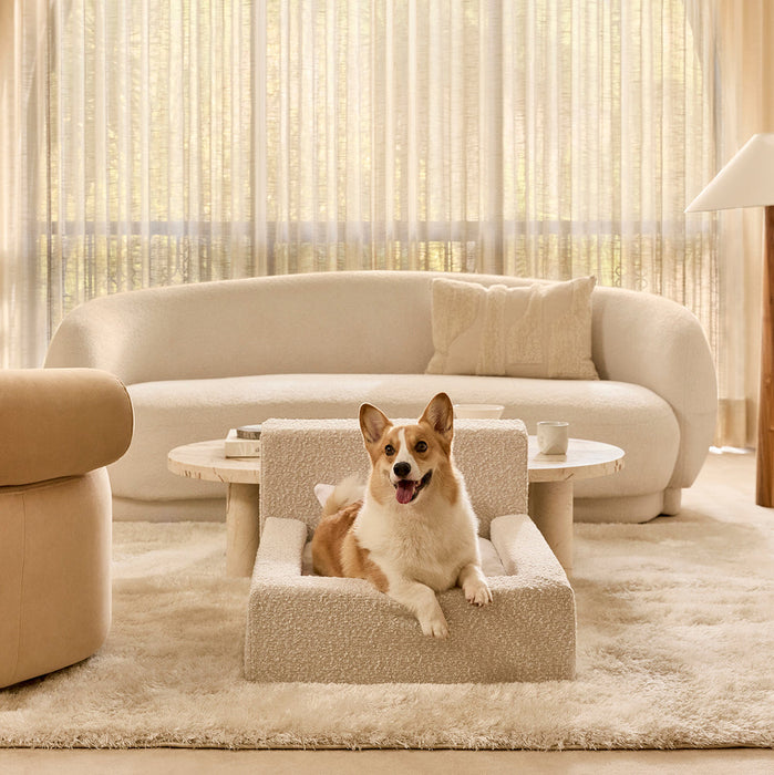 Luxurious Pet Sofa Bed