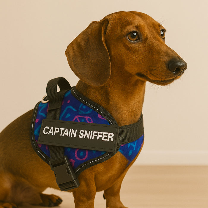 Custom No Pull Dog Harness With Name And Number