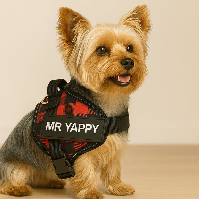 Custom No Pull Dog Harness With Name And Number