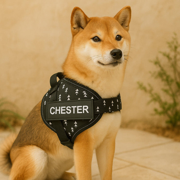 Custom No Pull Dog Harness With Name And Number