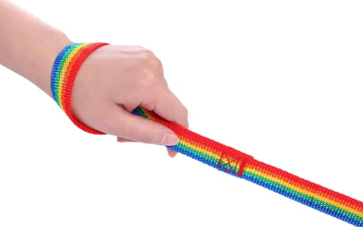 Rainbow Training Leash for Dogs