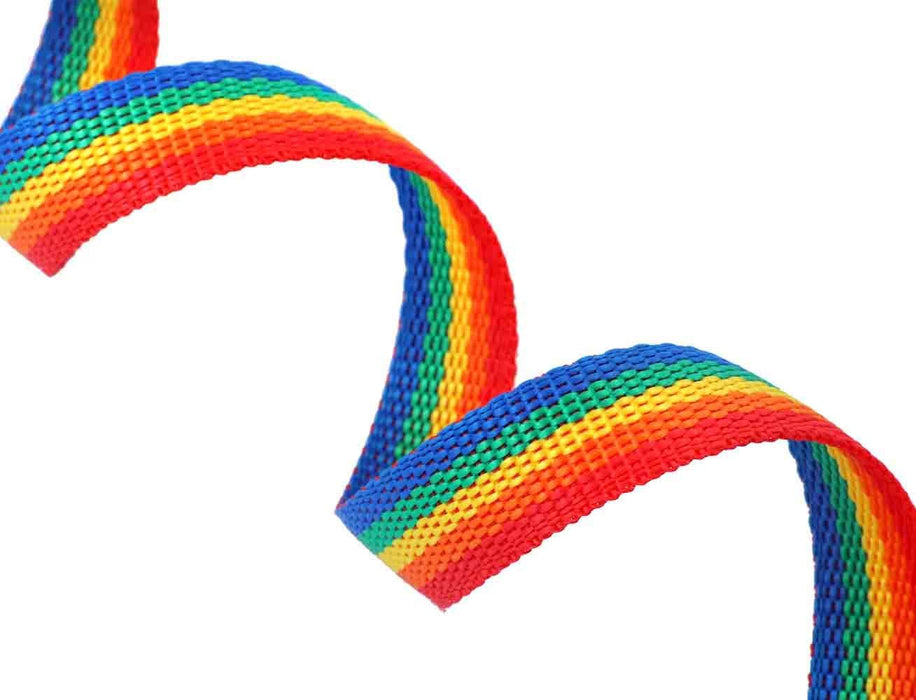 Rainbow Training Leash for Dogs