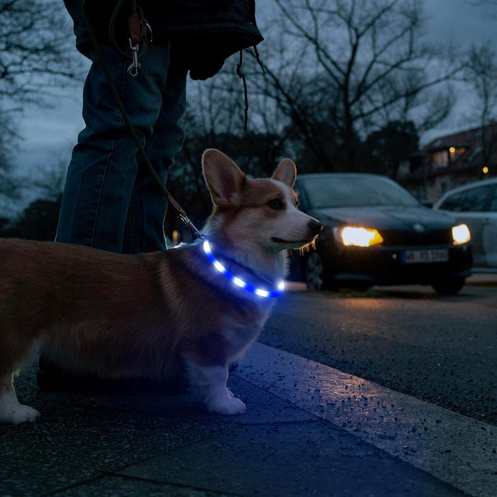 USB Rechargeable LED Safety Collar For Pets