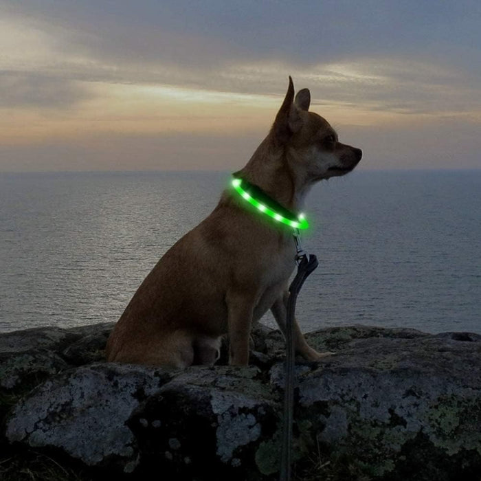 USB Rechargeable LED Safety Collar For Pets