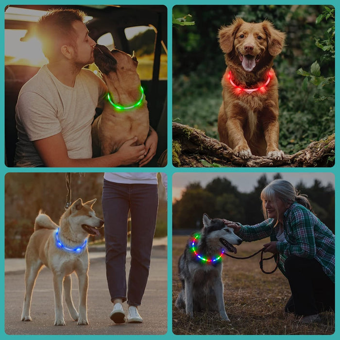 USB Rechargeable LED Safety Collar For Pets