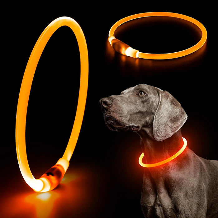 USB Rechargeable LED Safety Collar For Pets