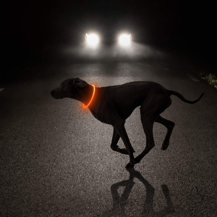 USB Rechargeable LED Safety Collar For Pets