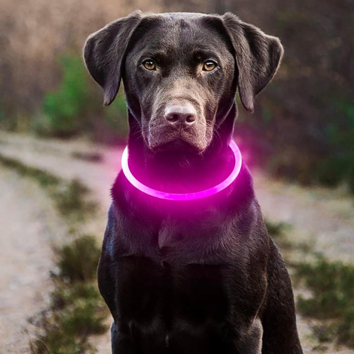 USB Rechargeable LED Safety Collar For Pets