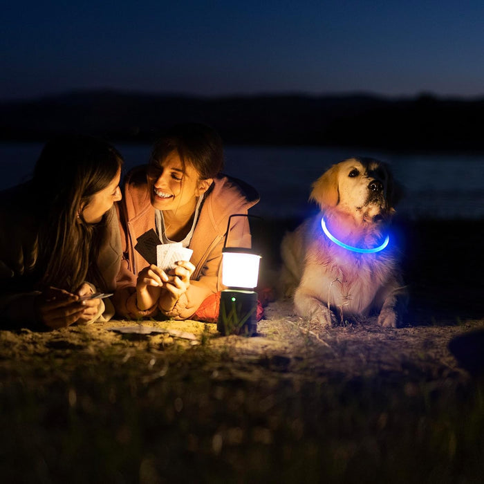 USB Rechargeable LED Safety Collar For Pets