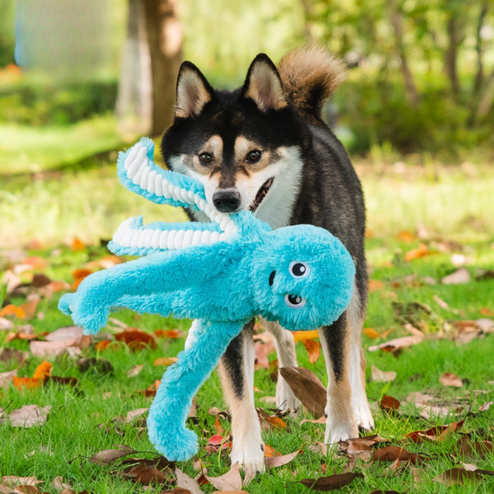 Octopus Crinkle Plush Dog Toy For Interactive Play