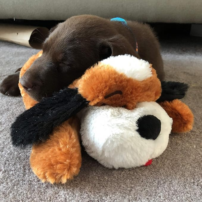 Soft Plush Toy For Puppies